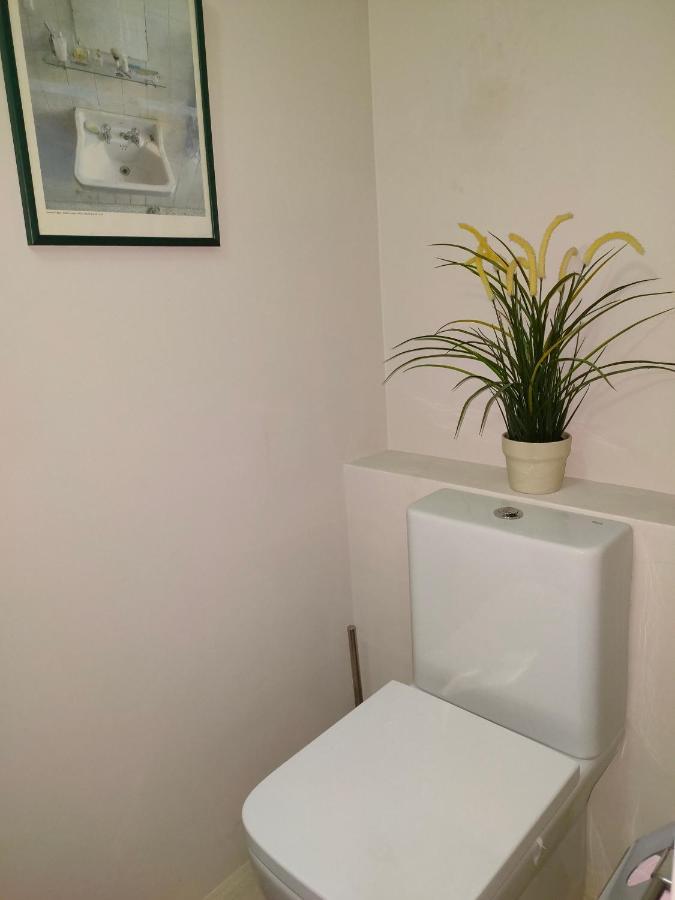 Relax, Silencio Y Sol En El Jardin Apartment Hendaye Ngoại thất bức ảnh